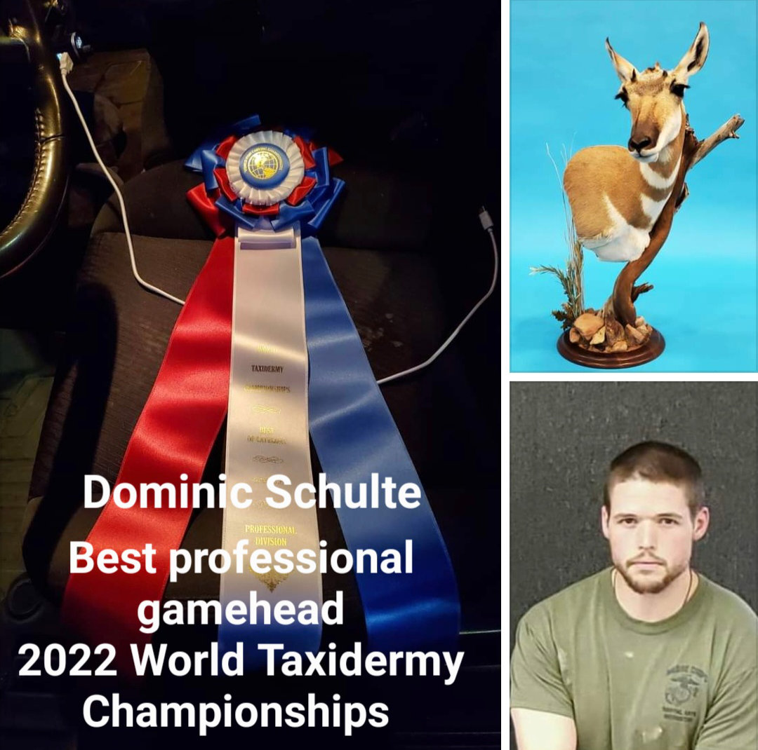 Dominic Schulte Award