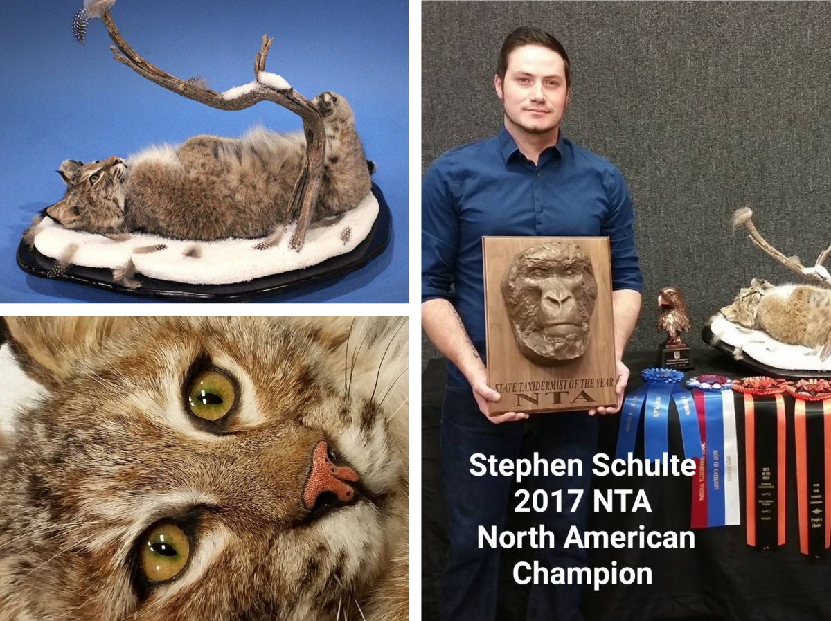 Stephen Schulte Award